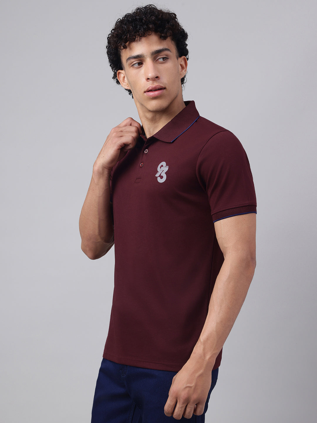 Men Wine Regular Fit Polo Neck t-shirt