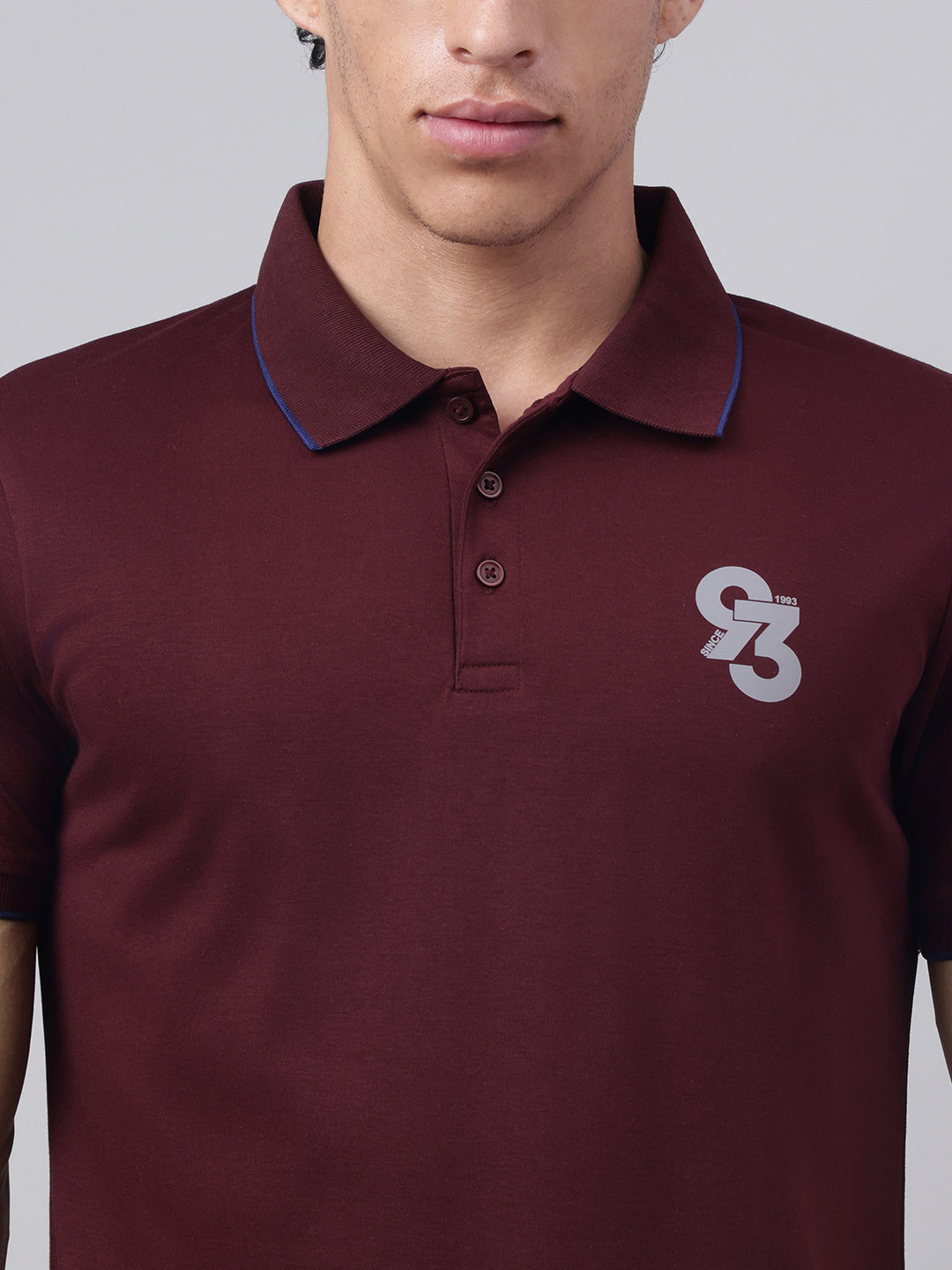 Men Wine Regular Fit Polo Neck t-shirt