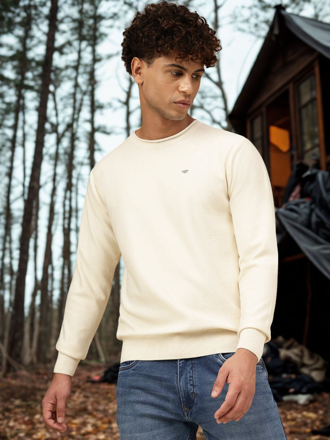 Men Round Neck Regular Fit Sweater