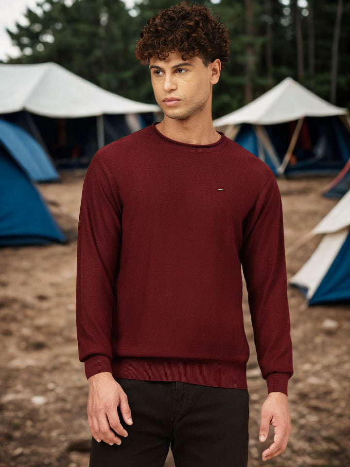 Men Round Neck Regular Fit Sweater