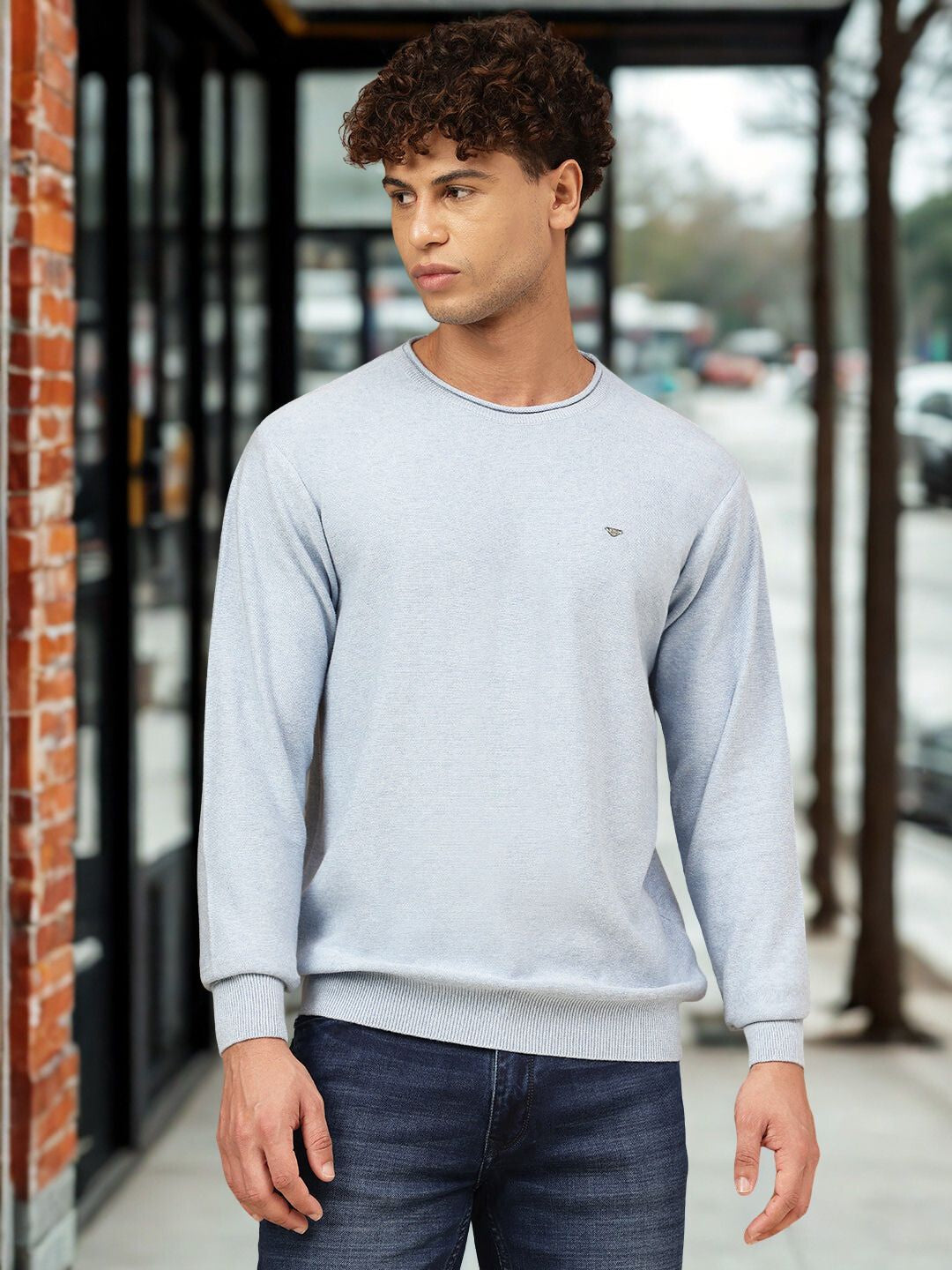 Men Crew Neck Sweater