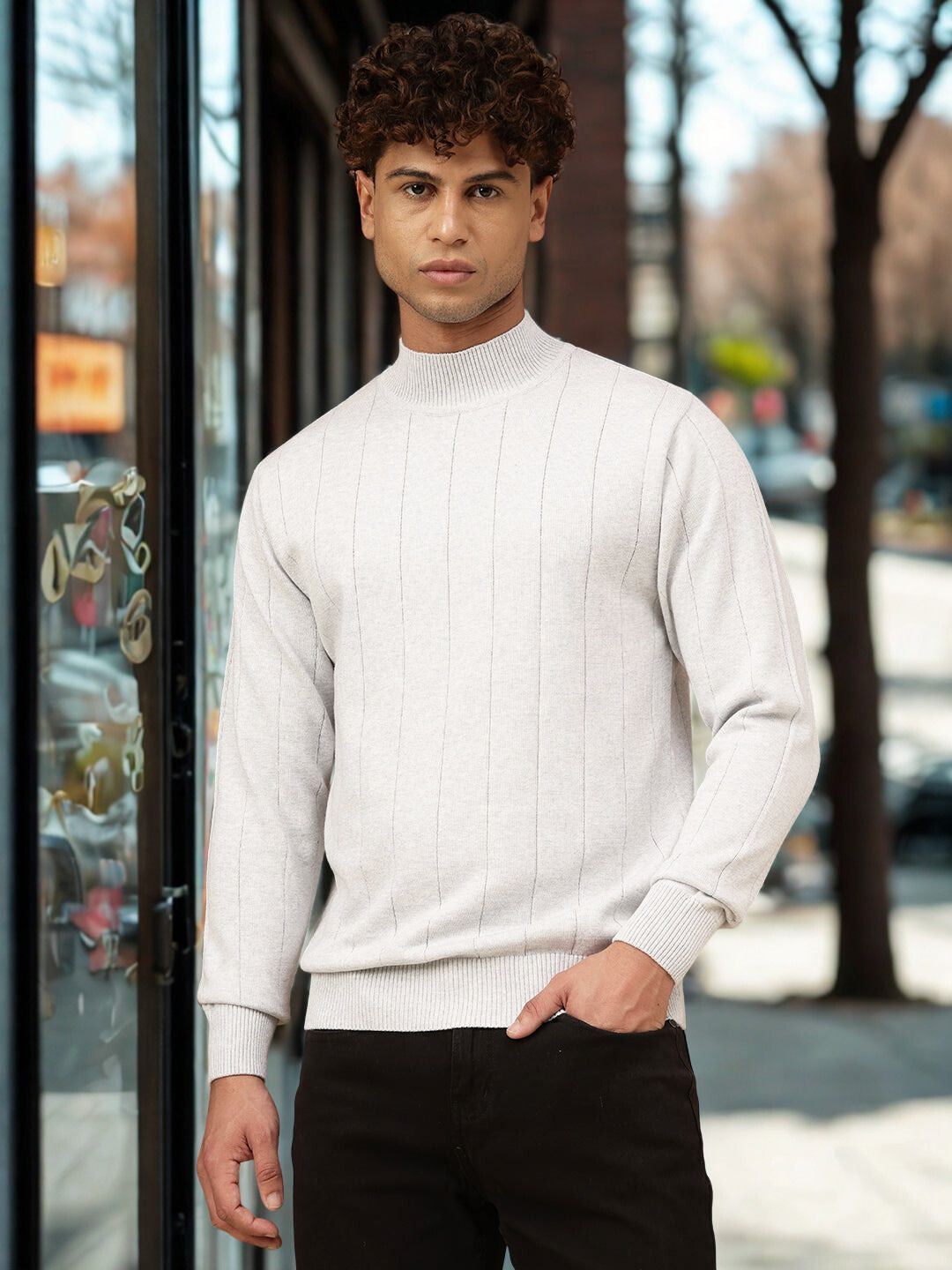 Men Crew Neck Regular Fit Sweater