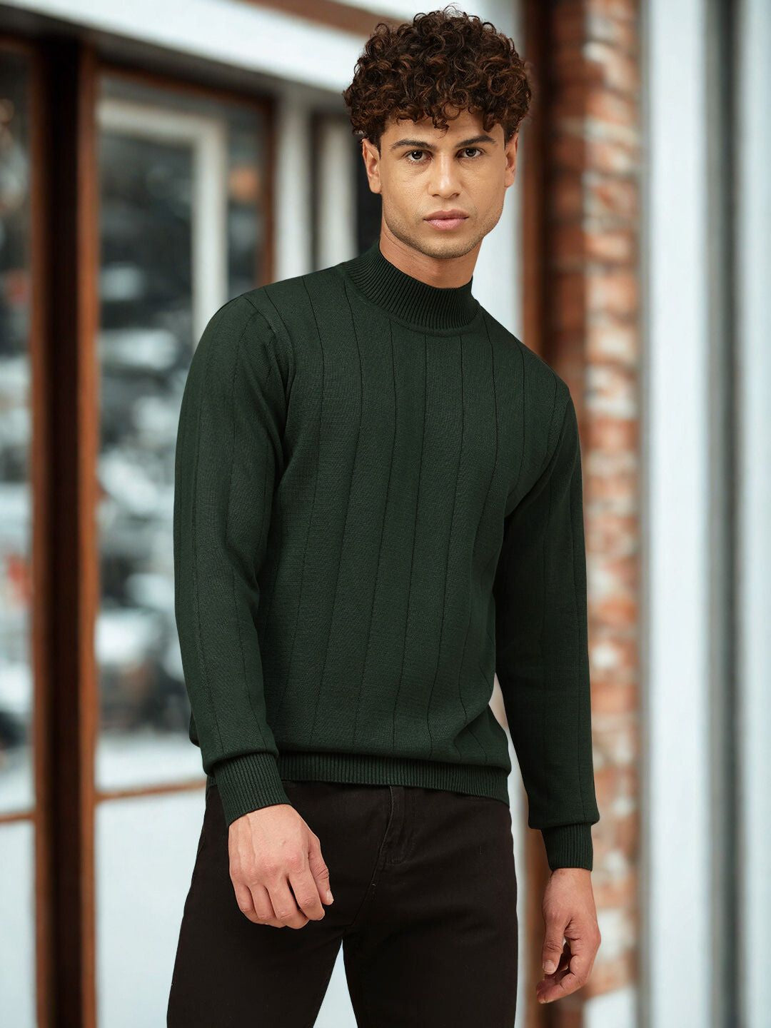 Men Crew Neck Regular Fit Sweater