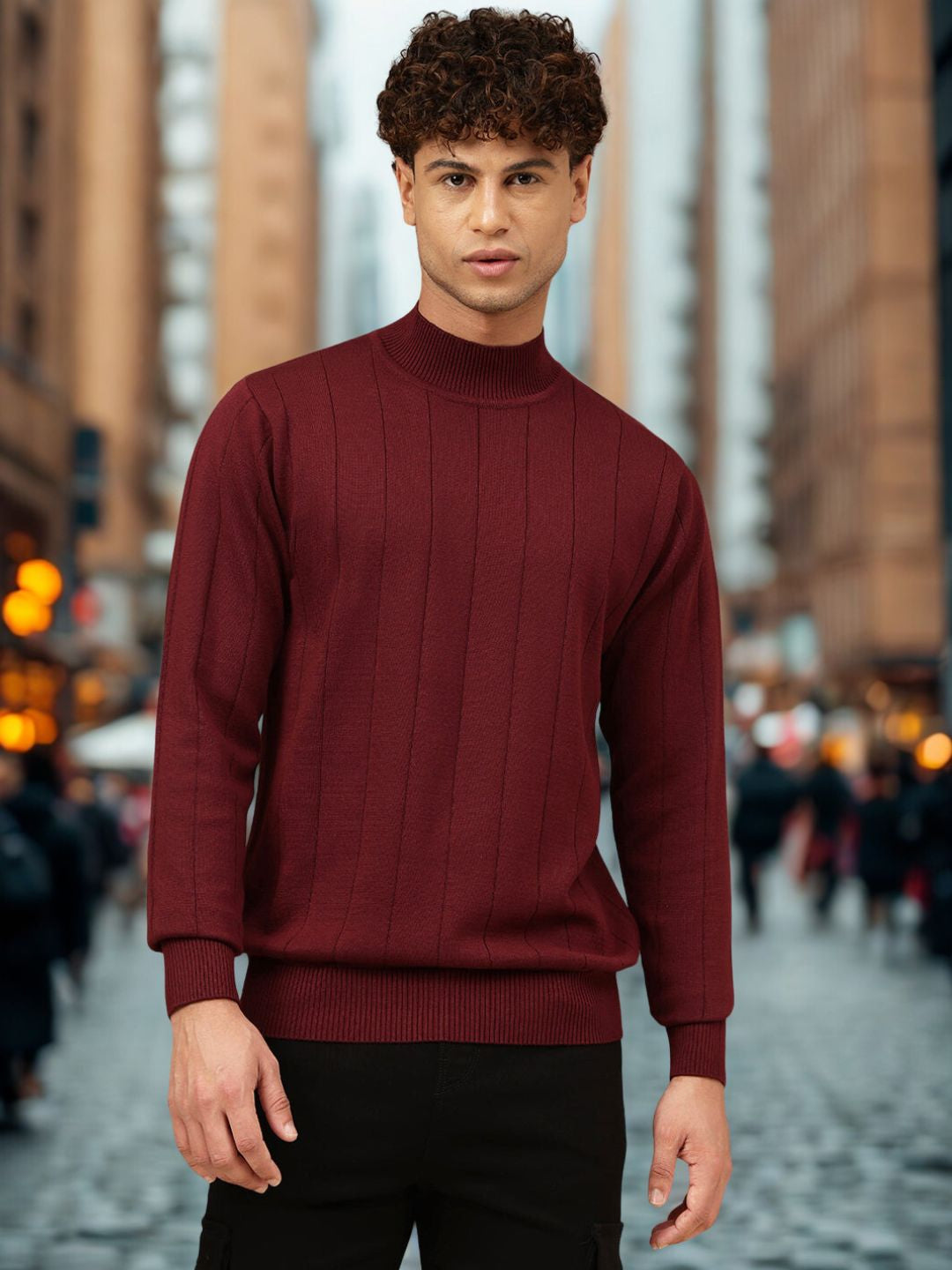 Men Crew Neck Regular Fit Sweater
