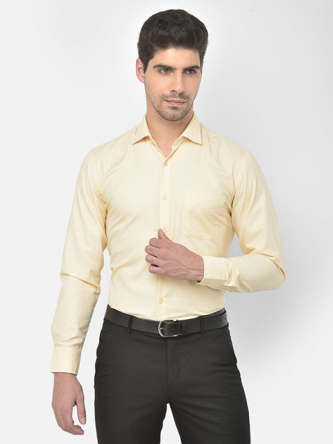 Men Beige Regular Fit Solid Formal Shirt
