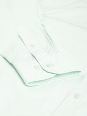 Men Light Green Regular Fit Solid Formal Shirt