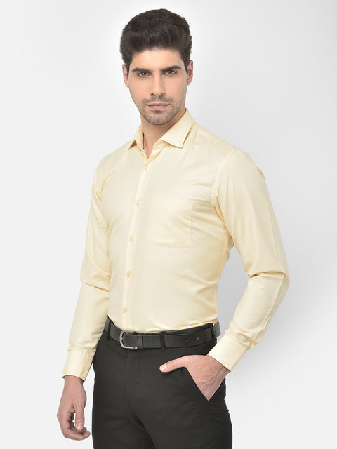 Men Beige Regular Fit Solid Formal Shirt