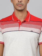 Men Red Regular Fit Color Blocked Polo Neck T-Shirt